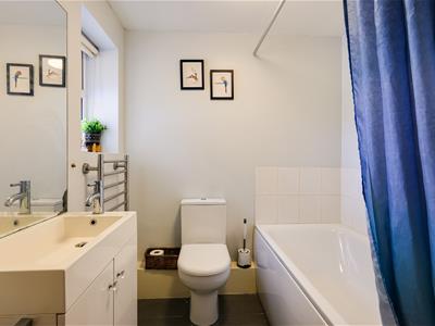 Picture 13